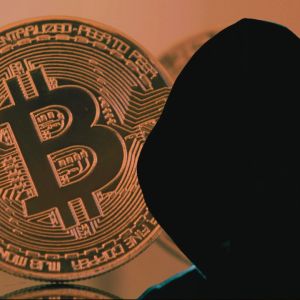 Indian man loses over $25,000 worth of BTC in investment scam