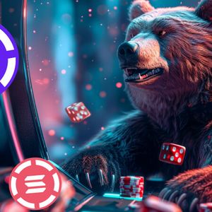 Solana Retracting While Chainlink Price Explodes. How Do They Stack Up Against the Hottest Crypto Rollblock?