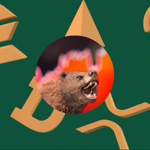 Altcoin’s bull run threatens market volatility – It’s not welcome