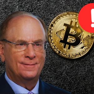 BlackRock’s Larry Fink is a financial genius. But his growing influence on Bitcoin should concern the crypto industry