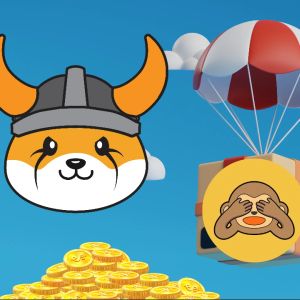 Floki Inu (FLOKI) tokens to receive Wise Monkey (MONKY) airdrop after December 15 snapshot