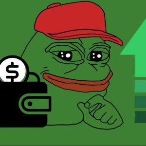 Pepe (PEPE) gets the most support from large retail holders