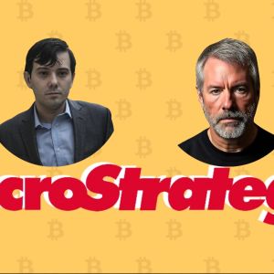 Martin Shkreli says that Michael Saylor’s Bitcoin playbook for MicroStrategy will ‘not end well’