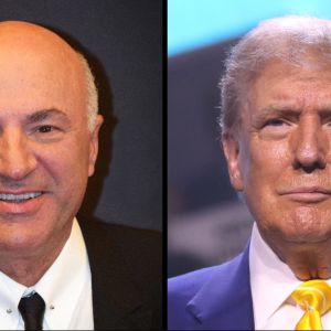 Kevin O’Leary sheds light on why CEOs ‘want to suck up to Trump’