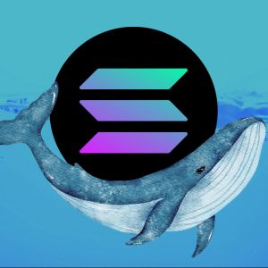 Solana whale sbfonchain.sol is back to buying the hottest meme tokens