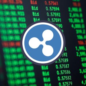 XRP whale activity during market correction pushes the coin 13% up – $4 market price in sight?