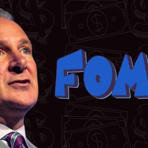 Peter Schiff’s FOMO: Why he wants USA coin instead of Bitcoin