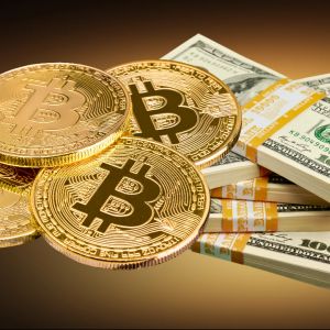 VanEck says strategic Bitcoin reserve could hold up to 35% of US debt by 2050