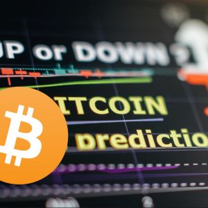 Crypto investors turn bearish the last 2 weeks – Do 2025 predictions even matter?