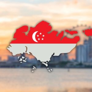 Singapore surpasses Hong Kong as digital assets leader in 2024 with 13 crypto licenses issued