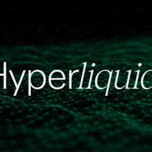 Hyperliquid (HYPE) was the highest FDV project to launch in 2024