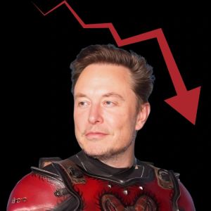 Elon Musk’s X move tanks Kekius Maximus token 60% in an hour; Whale cashes out $2.3M profit