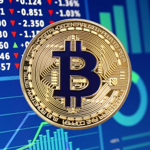 Bitcoin-linked stocks become biggest gainers as 2025 trading settles