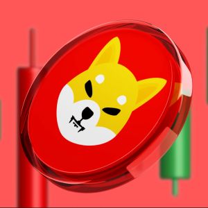 Shiba Inu set to launch TREAT, its new governance token