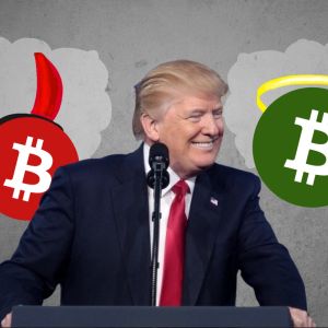 Trump era could propel digital currencies or expose their dark side