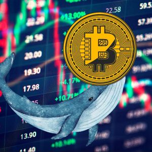 Bitcoin might be down, but whales still want the BTC in exchange reserves