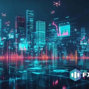 What is FXGuys?