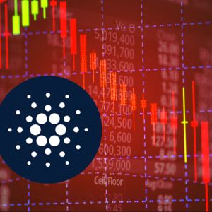 Cardano leads the market decline – Why is ADA down today?