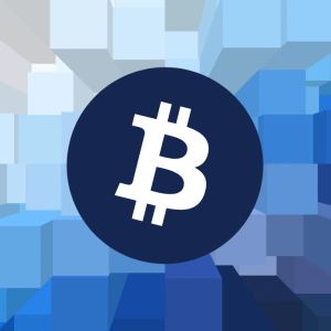 Block might become first company with a BTC strategy within the S&P 500, VanEck says