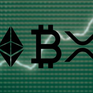 Crypto trends 2025: Ether, XRP, Bitcoin lead wallet growth; but who’s losing?