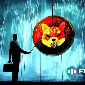 Market Dip Shakes Shiba Inu And Ethereum Investors While FX Guys ($FXG) Hold Strong With Promising Projections