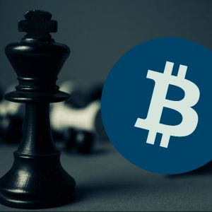 Coingecko: Crypto market cap nearly doubled in 2024, BTC dominance cemented