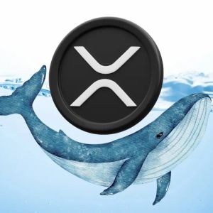 XRP network sees surge in whale transactions