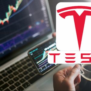 Tesla shareholders unfazed by Elon Musk’s DOGE responsibility
