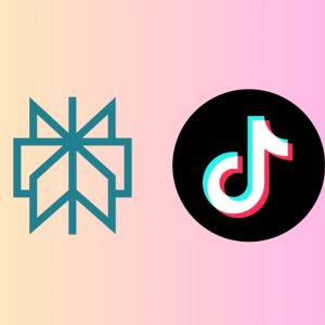 Perplexity AI wants to merge with TikTok US