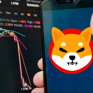 Shiba Inu slips out of top 15 cryptos as price stagnates