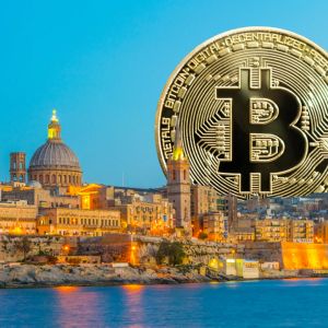 Malta becomes the European hub for Winklevoss twins’ Gemini MiCA compliance