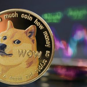 CryptoQuant CEO issues ‘public apology’ to memecoiners