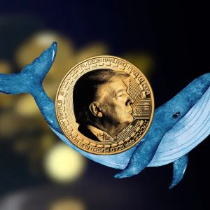 Whales control Trump family tokens: Chainalysis