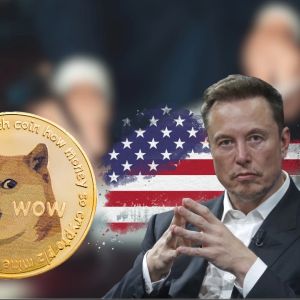 Elon Musk’s DOGE faces legal firestorm: Can speed overcome bureaucracy?