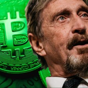 John McAfee’s wife launches $AINTI meme coin, community raises supply concerns