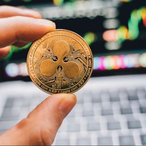 Ripple’s XRP public takedown – ‘It’s not a crypto, can’t be compared to Bitcoin, and has no use case’