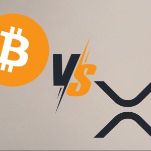 XRP vs. Bitcoin dominance – Just how much XRP do you need to be accepted into the XRP family?