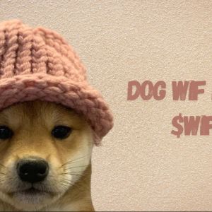 Dogwifhat dismisses claims of misleading donors in Vegas Sphere plan