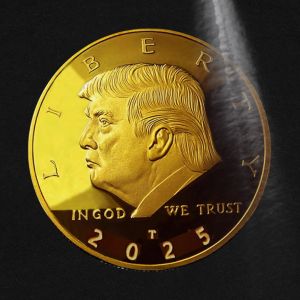 TRUMP meme coin exposes cracks in crypto’s equal access narrative