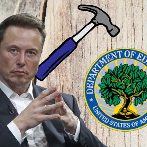 Elon Musk’s DOGE wants to terminate US education department next after USAID