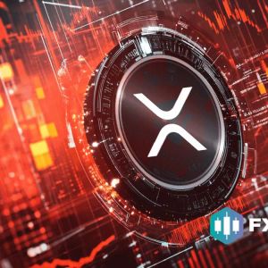 Crypto Crash Wipes Out Over $2 Billion In Liquidations While FXGuys ($FXG) Shows Strength Against Cardano And XRP