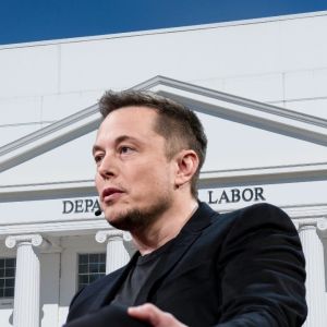 US labor department employees terrified that Elon Musk’s D.O.G.E has access to data