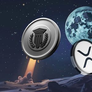 Missed Out on XRP? Don’t Worry, Mutuum Finance is Here with Even More Potential