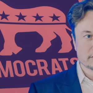 Democrats fresh strategy to halt Musk’s DOGE – invoke Taxpayer Data Protection Act `