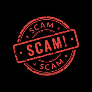 Indian businessman loses $221k in crypto investment scam