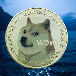 Dogecoin whales vanish, transactions drop by 88%