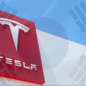 Why South Korean investors must rethink their high-risk bet on Tesla-linked leveraged products