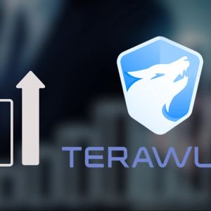 TeraWulf’s revenue surges 102% as Bitcoin holdings nearly quadruple