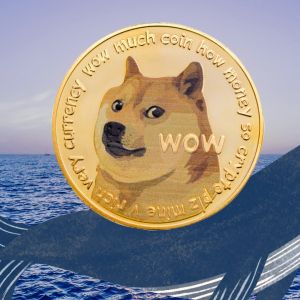 Whale moves over $157M DOGE in the middle of a depressed meme market