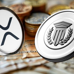 Ripple (XRP) vs Binance Coin (BNB) vs Mutuum Finance (MUTM): Which of the Tokens will give higher profits in 2025?